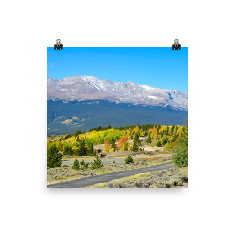 14,429 ft Mount Massive with changing aspen in foreground - Print