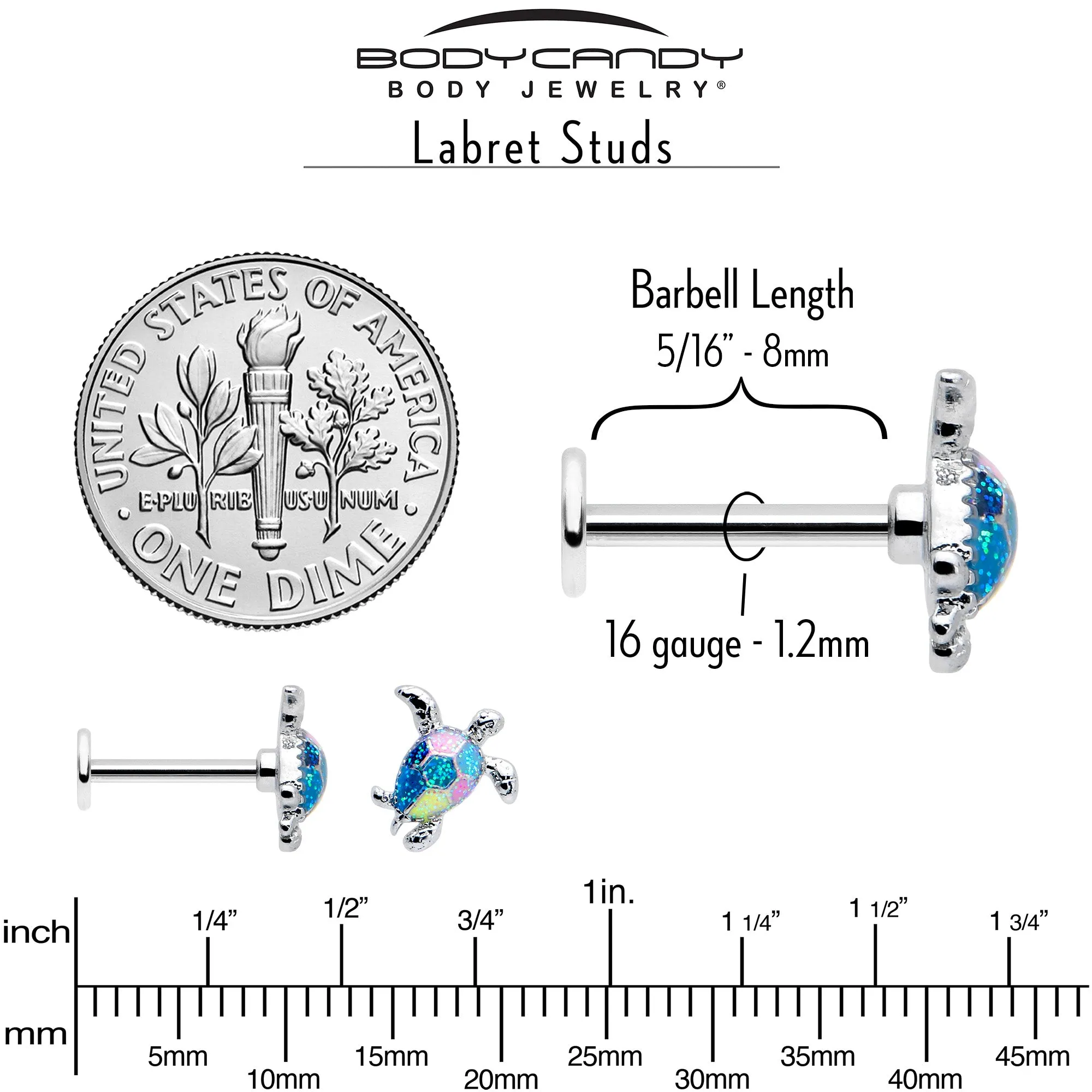 16 Gauge 5/16 Glitter Turtle Labret Monroe Tragus