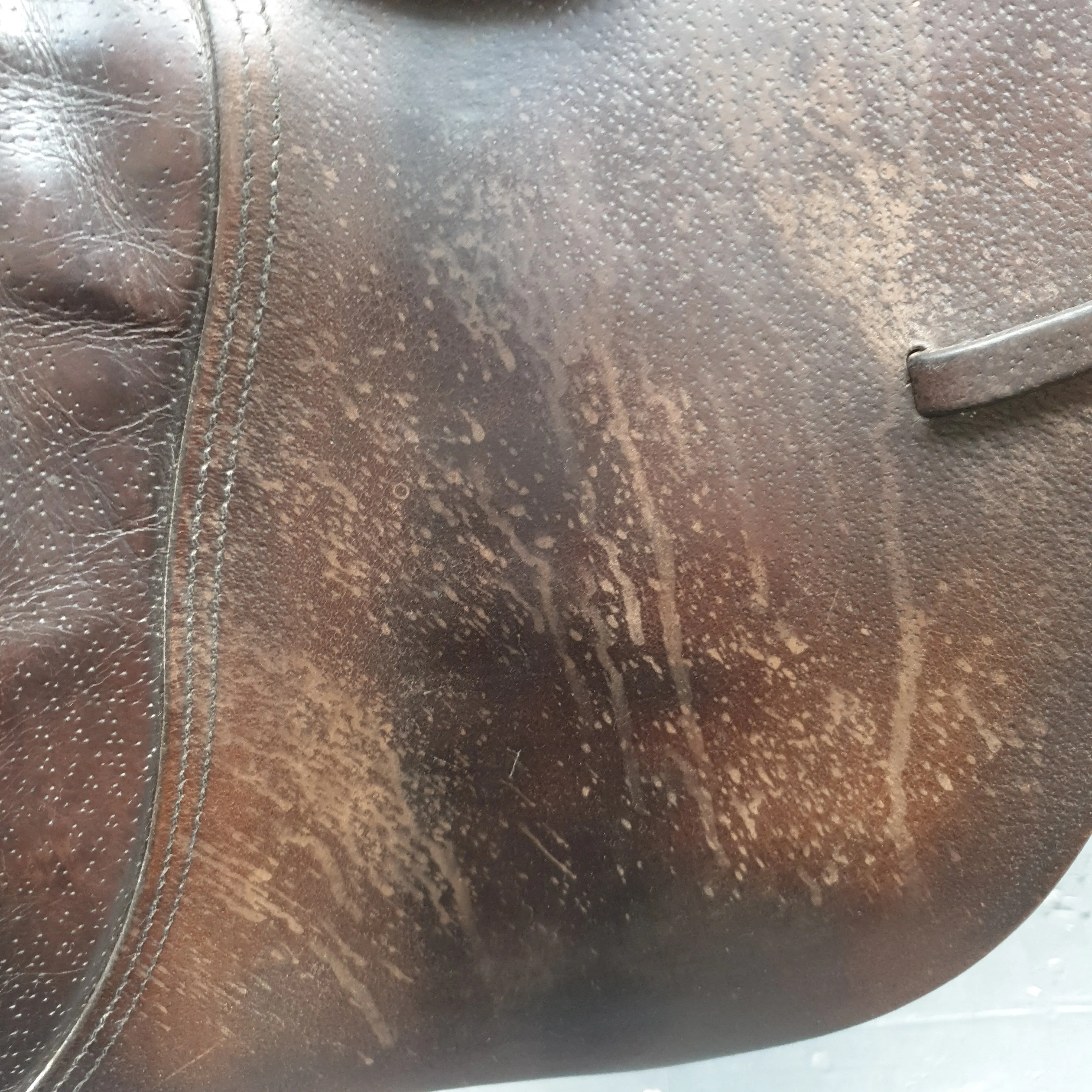 16" Falcon Brown Gp saddle stamped Wide