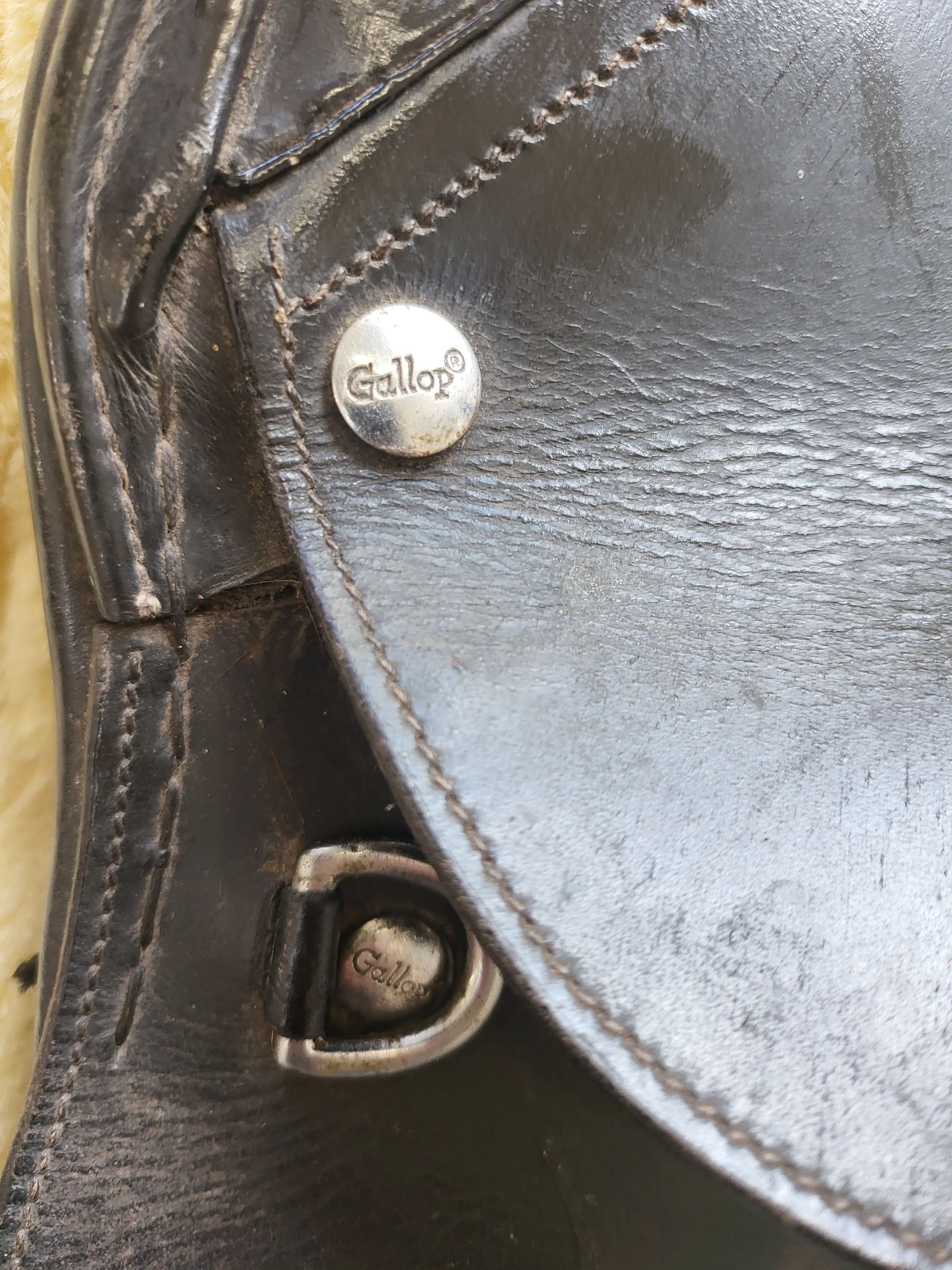 17" Black Wide Gallop saddle🔵