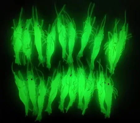 Azuna 20pcs Soft Plastic Luminous Prawn Shrimp Yabbie Fishing Lure 65mm