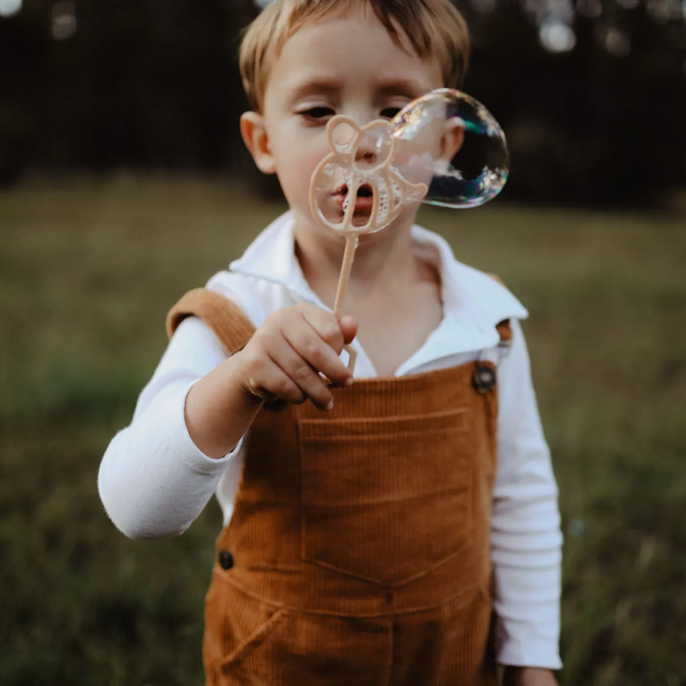 Bee Eco Bubble Wand