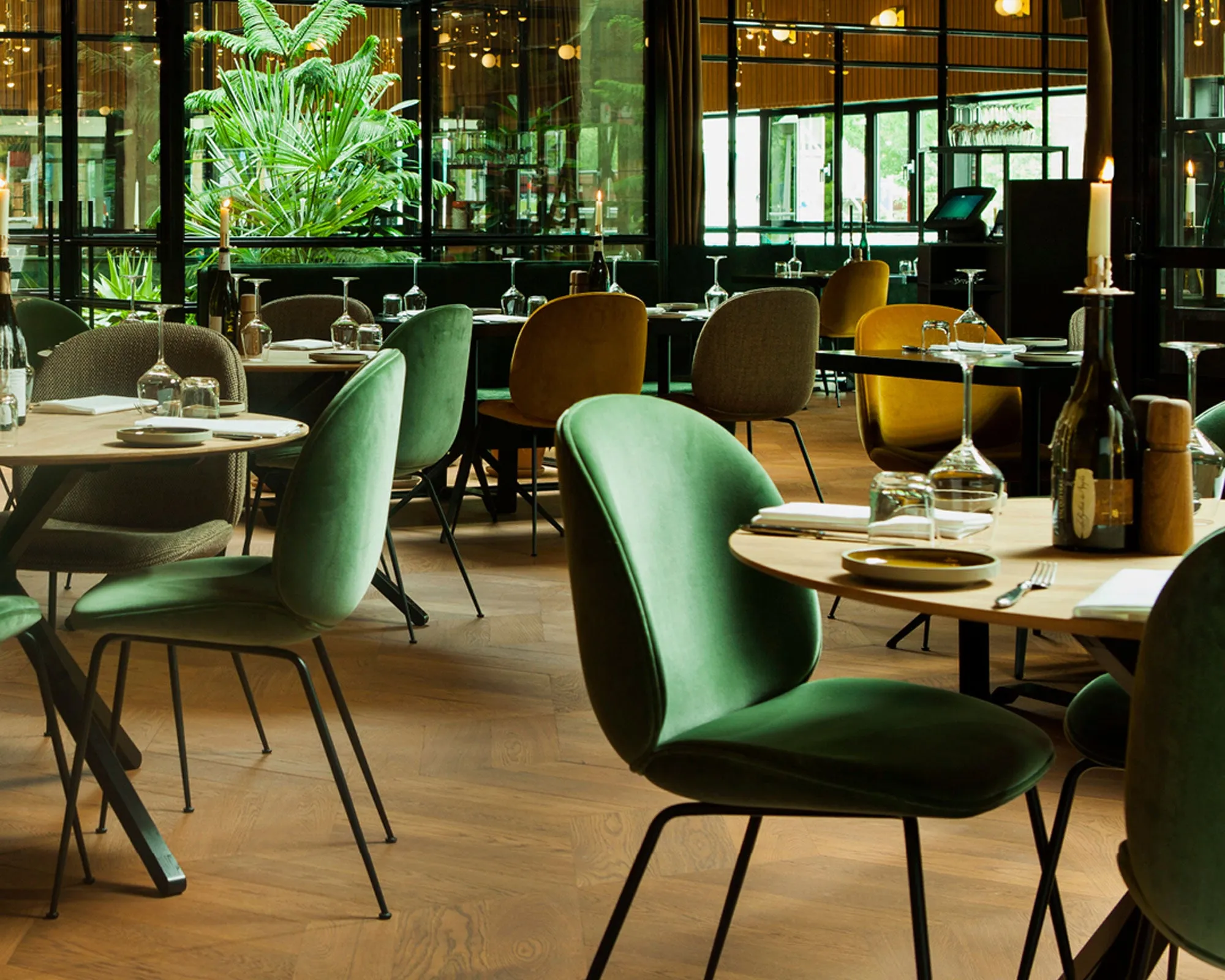 Beetle Dining Chair - Conic Legs