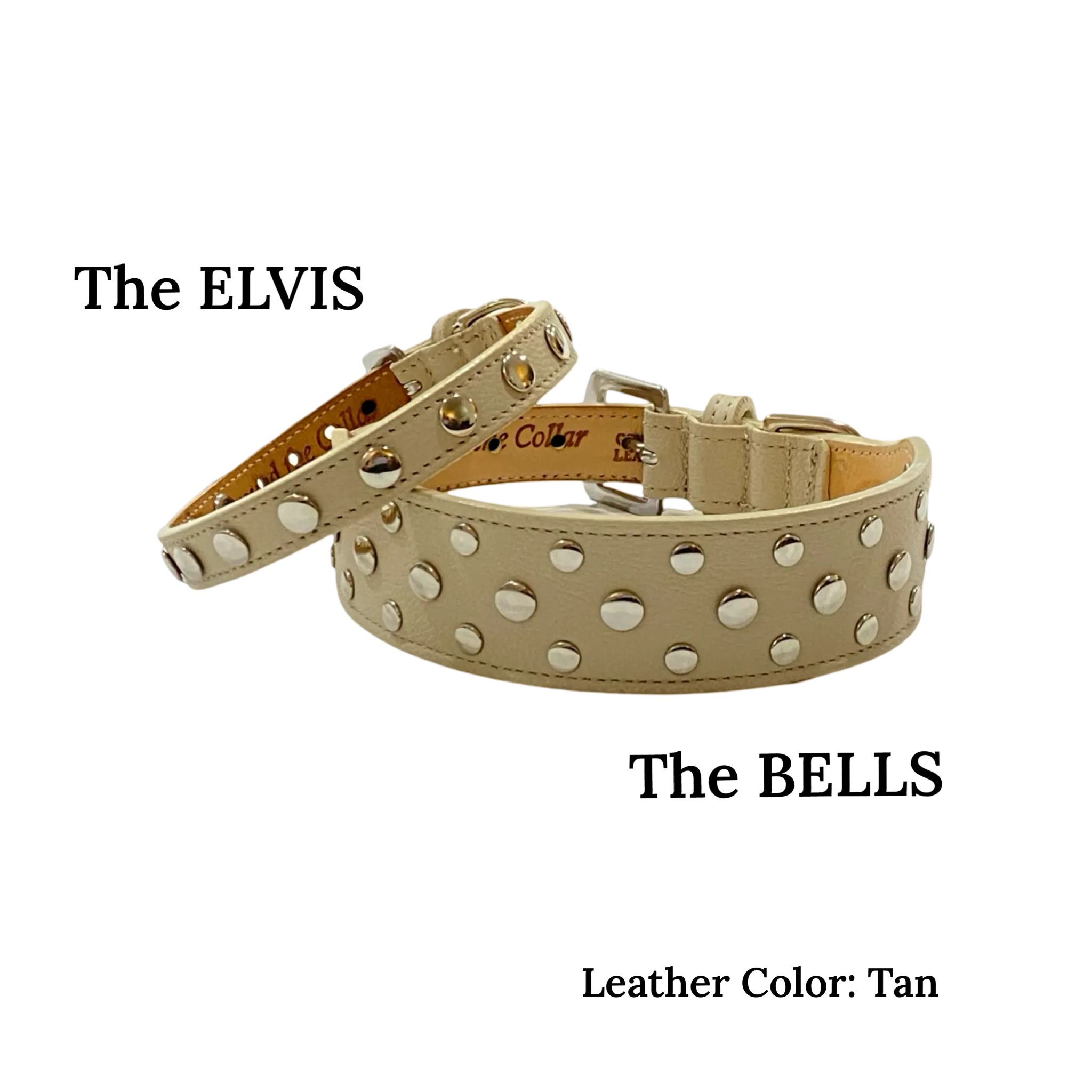 Bells Stud Cluster Wider Width Dog Collar