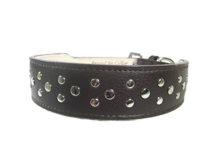 Bells Stud Cluster Wider Width Dog Collar