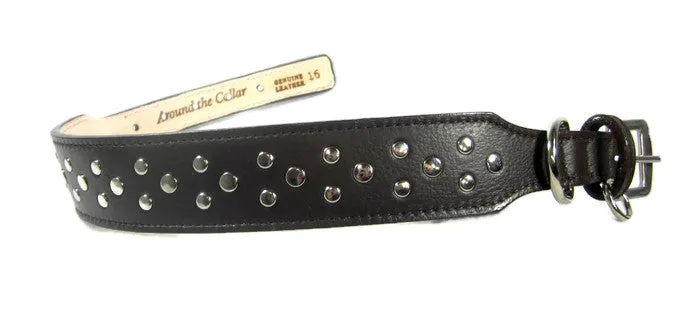 Bells Stud Cluster Wider Width Dog Collar