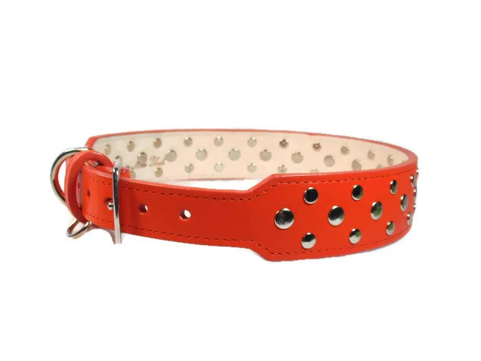 Bells Stud Cluster Wider Width Dog Collar