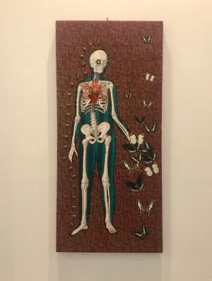 Butterfly Bones