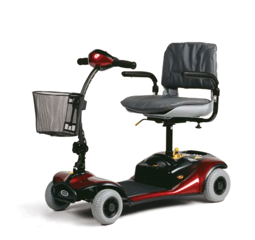 Chameleon 4 Wheel Scooter