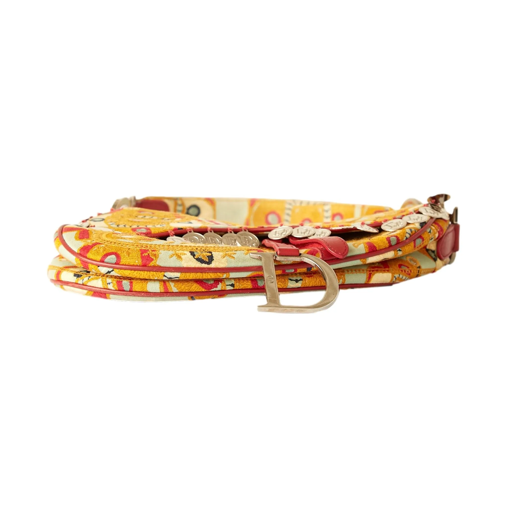 Dior Multicolor Embroidered Charm Saddle Bag