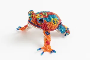 Frog: medium; brilliant red, blue, orange, yellow