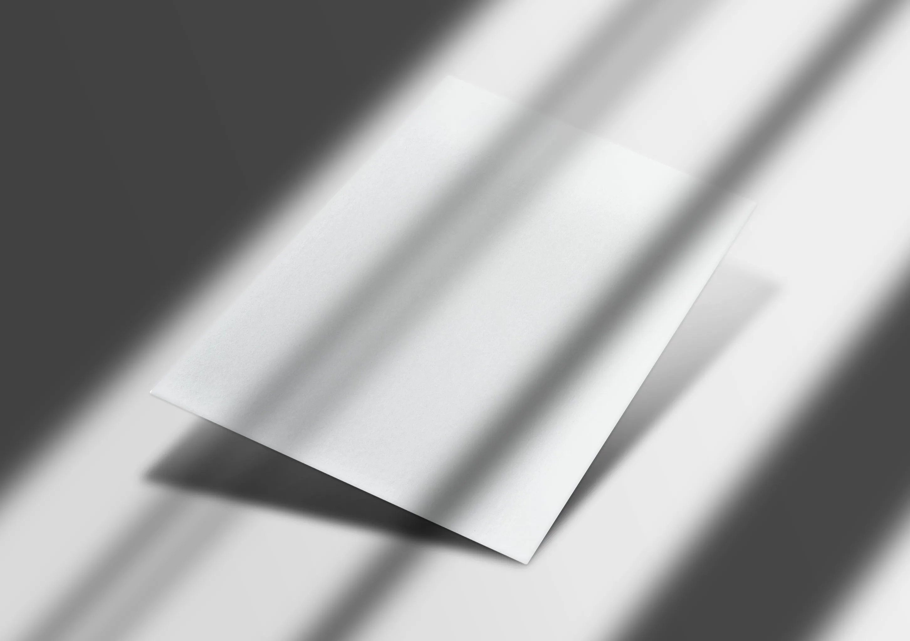 Glossy Hang Tags