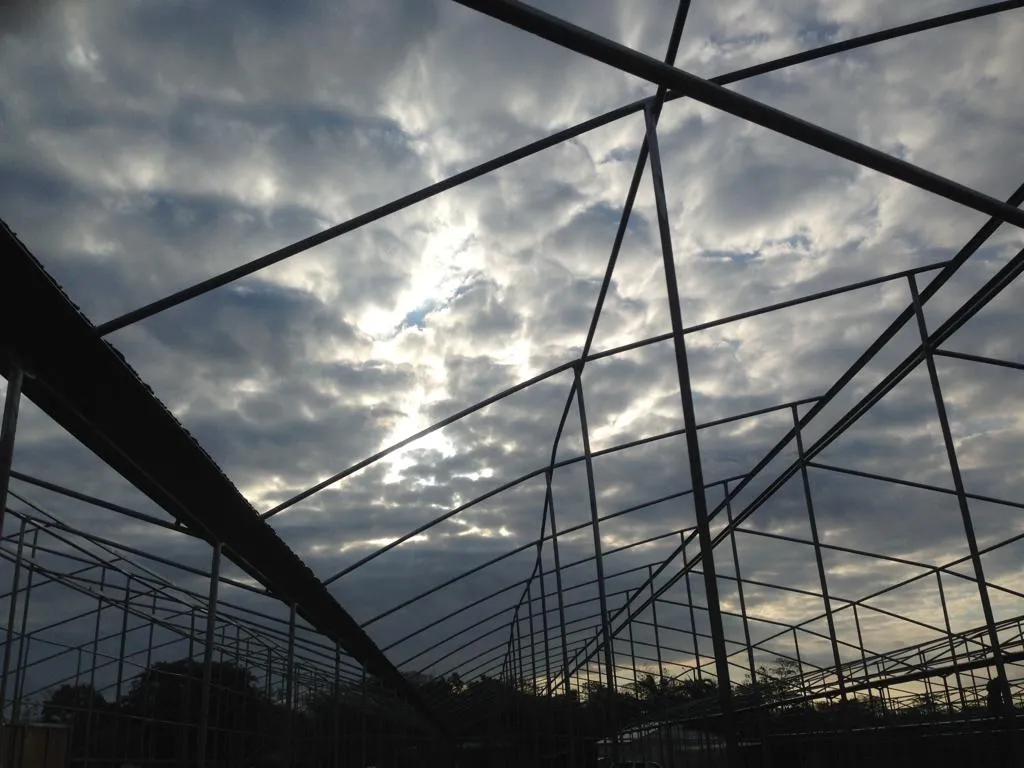 Gotcha Covered Bro - High Winds Destroyed Our Greenhouse Plastic