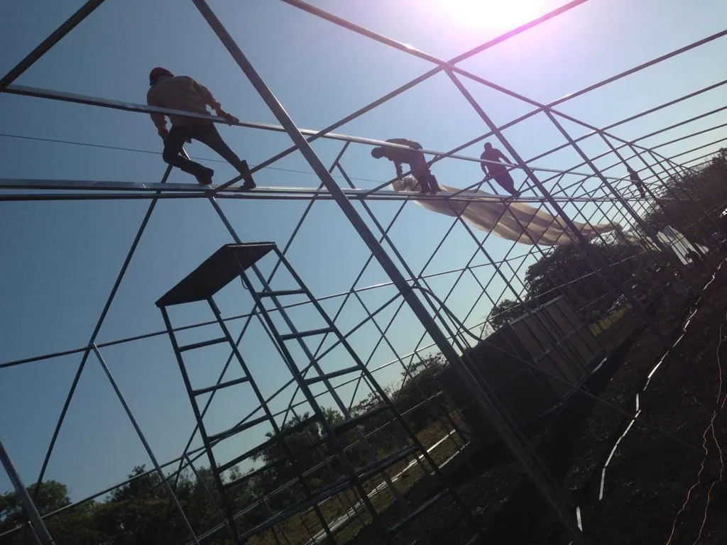 Gotcha Covered Bro - High Winds Destroyed Our Greenhouse Plastic