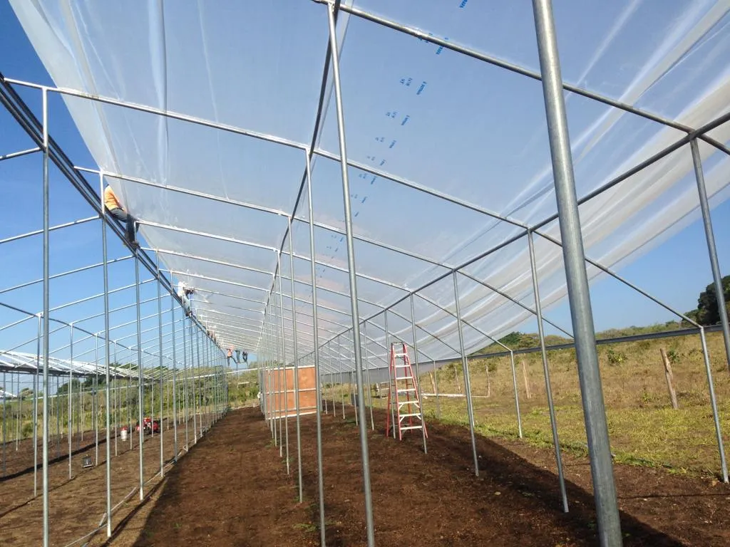 Gotcha Covered Bro - High Winds Destroyed Our Greenhouse Plastic