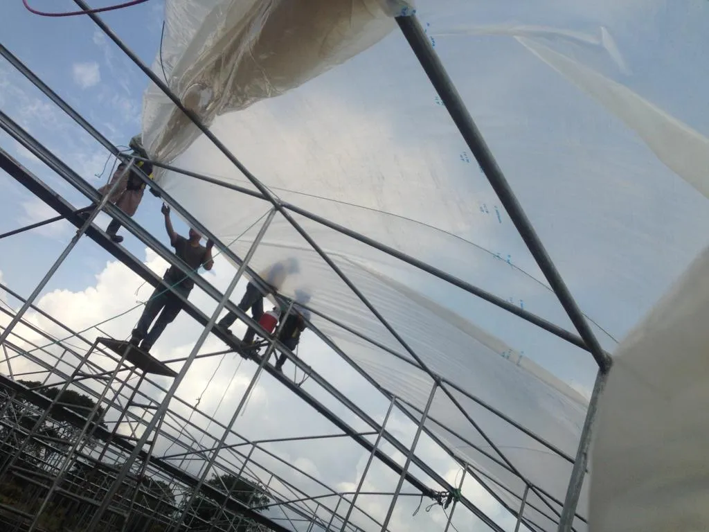 Gotcha Covered Bro - High Winds Destroyed Our Greenhouse Plastic