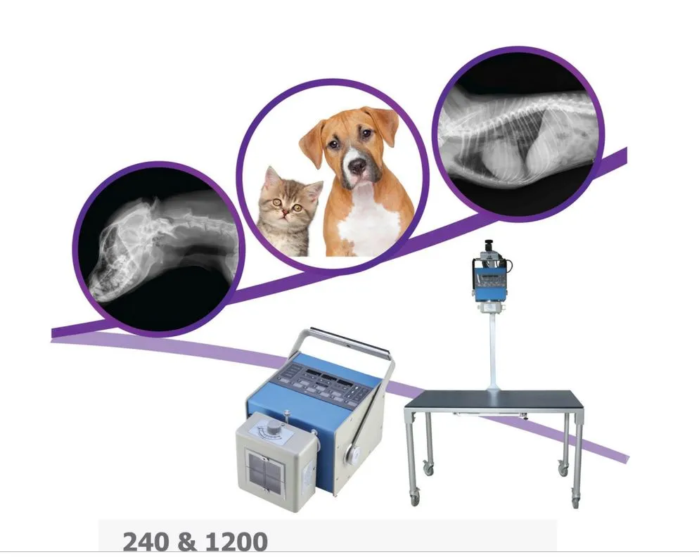 High Frequency Portable X-ray Generator - 240 HF