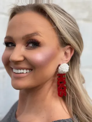 HOGS Beaded & Acrylic Earrings
