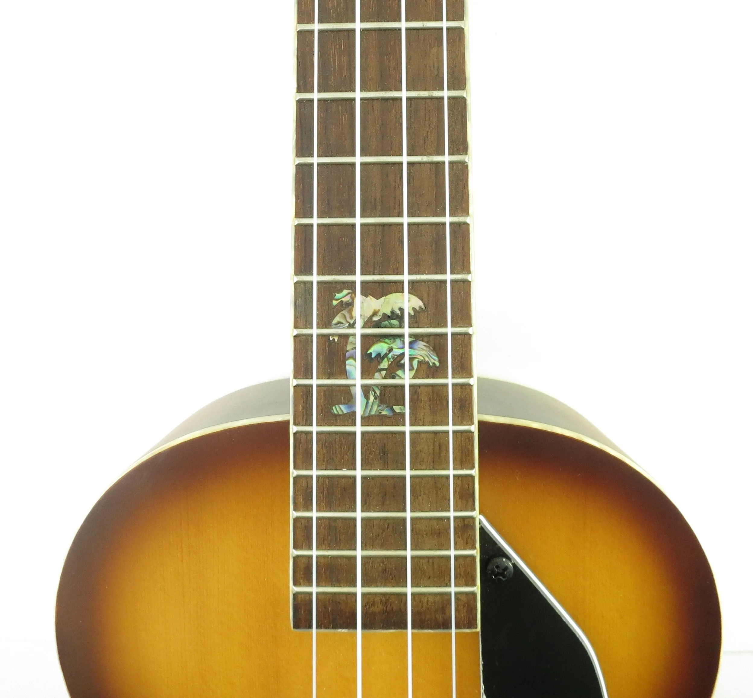 Kala Archtop Honeyburst Custom Tenor Ukulele KA-JTE/HBC