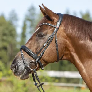 Kieffer Ultrasoft® Economy II Snaffle Bridle