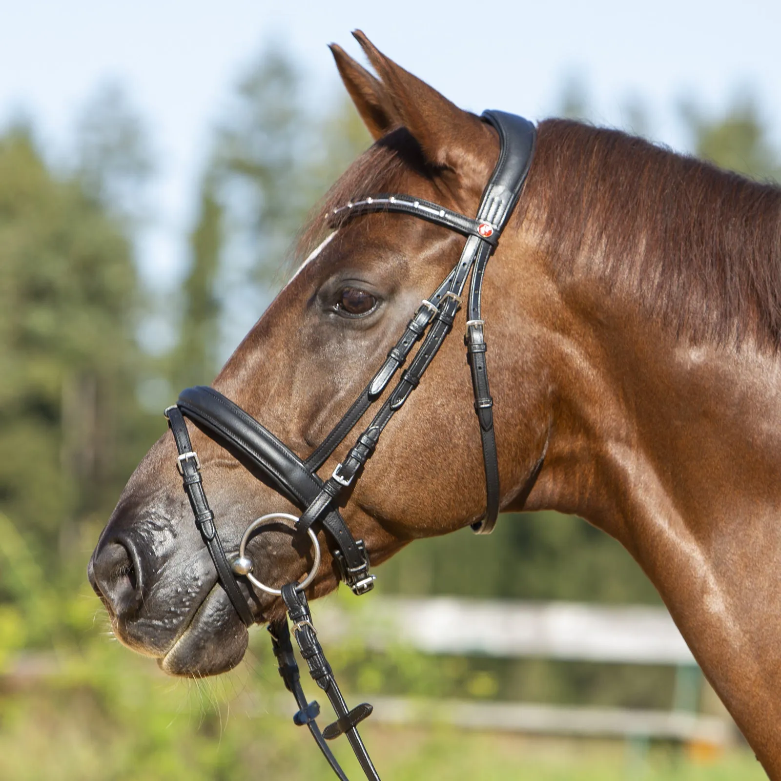 Kieffer Ultrasoft® Economy II Snaffle Bridle