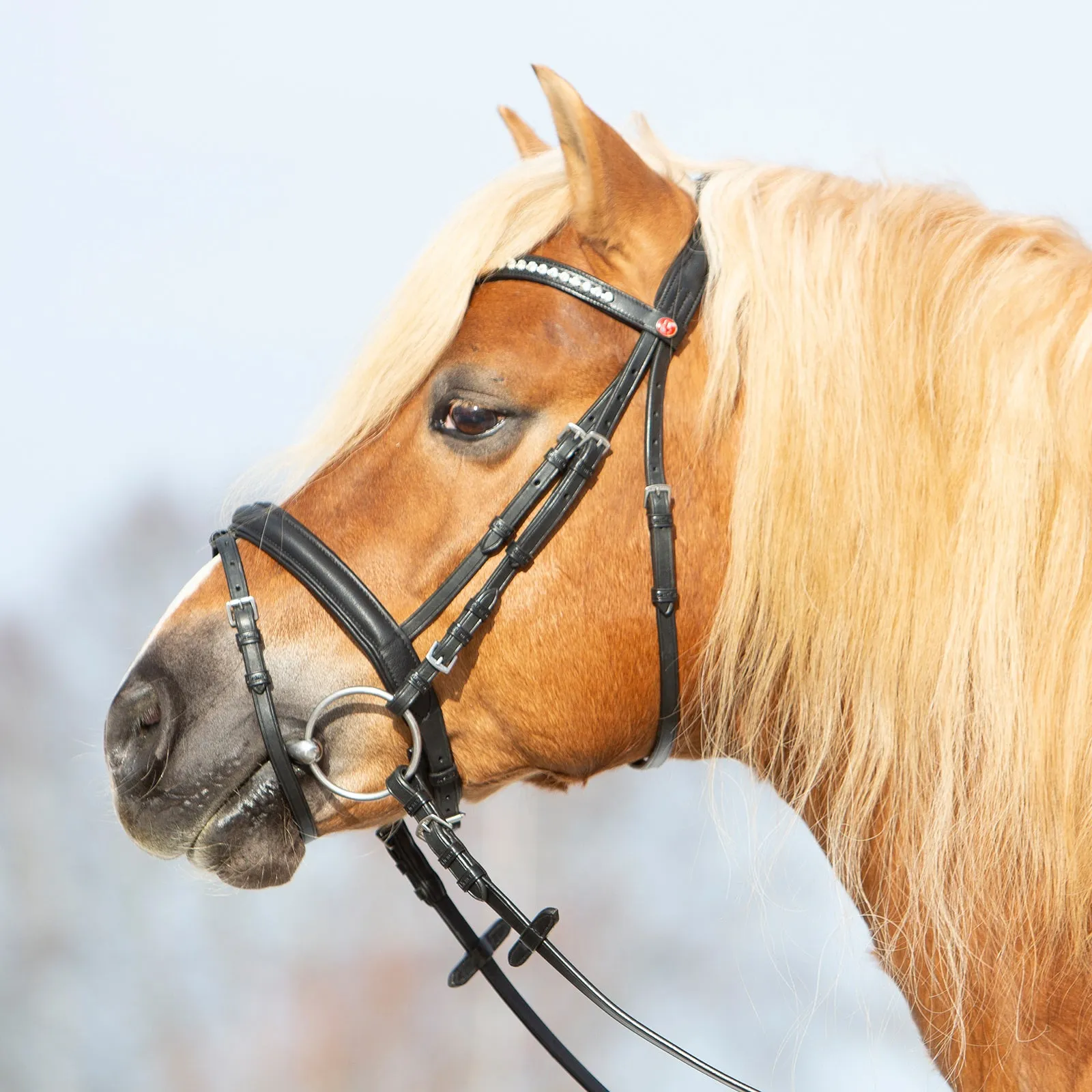 Kieffer Ultrasoft® Haflinger Snaffle Bridle