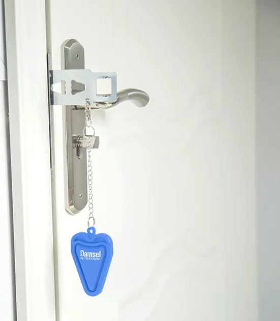 Locked Down Portable Door Lock