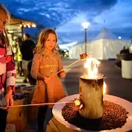 Mini One Log Fire - Take a Fire with you - 1-Hour Burn Time
