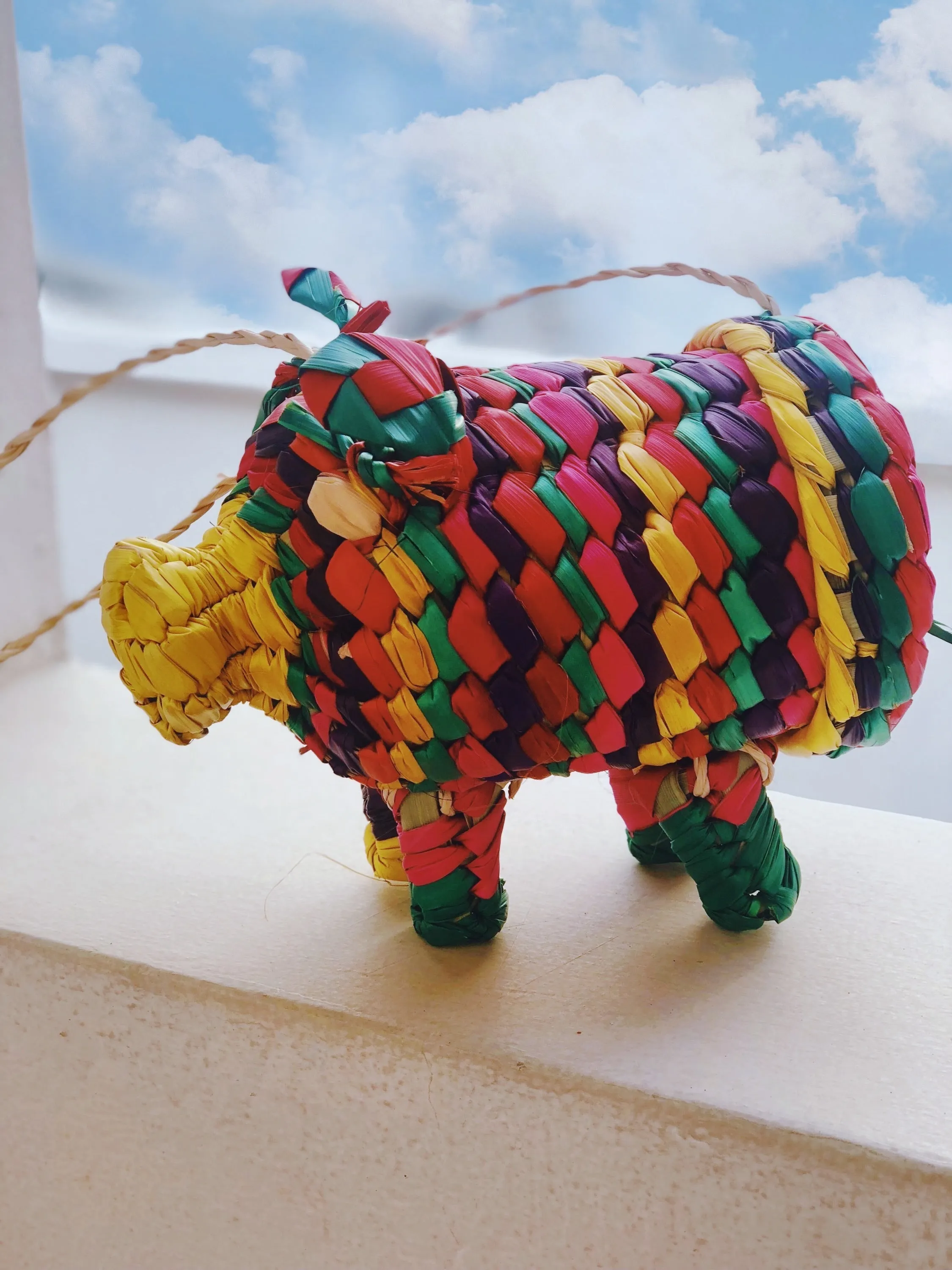 Natural Palm Piggy Bag
