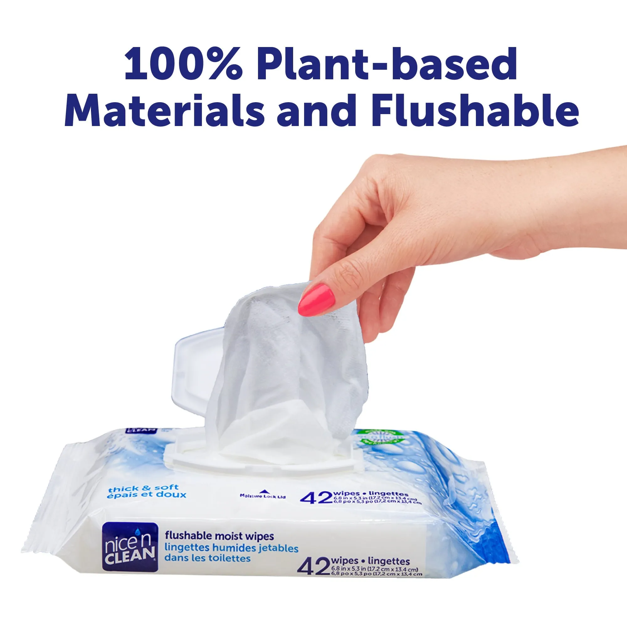 Nice n Clean Flushable Wipes,5 packs of 60 wipes, 300 wipes total BEST PRICE