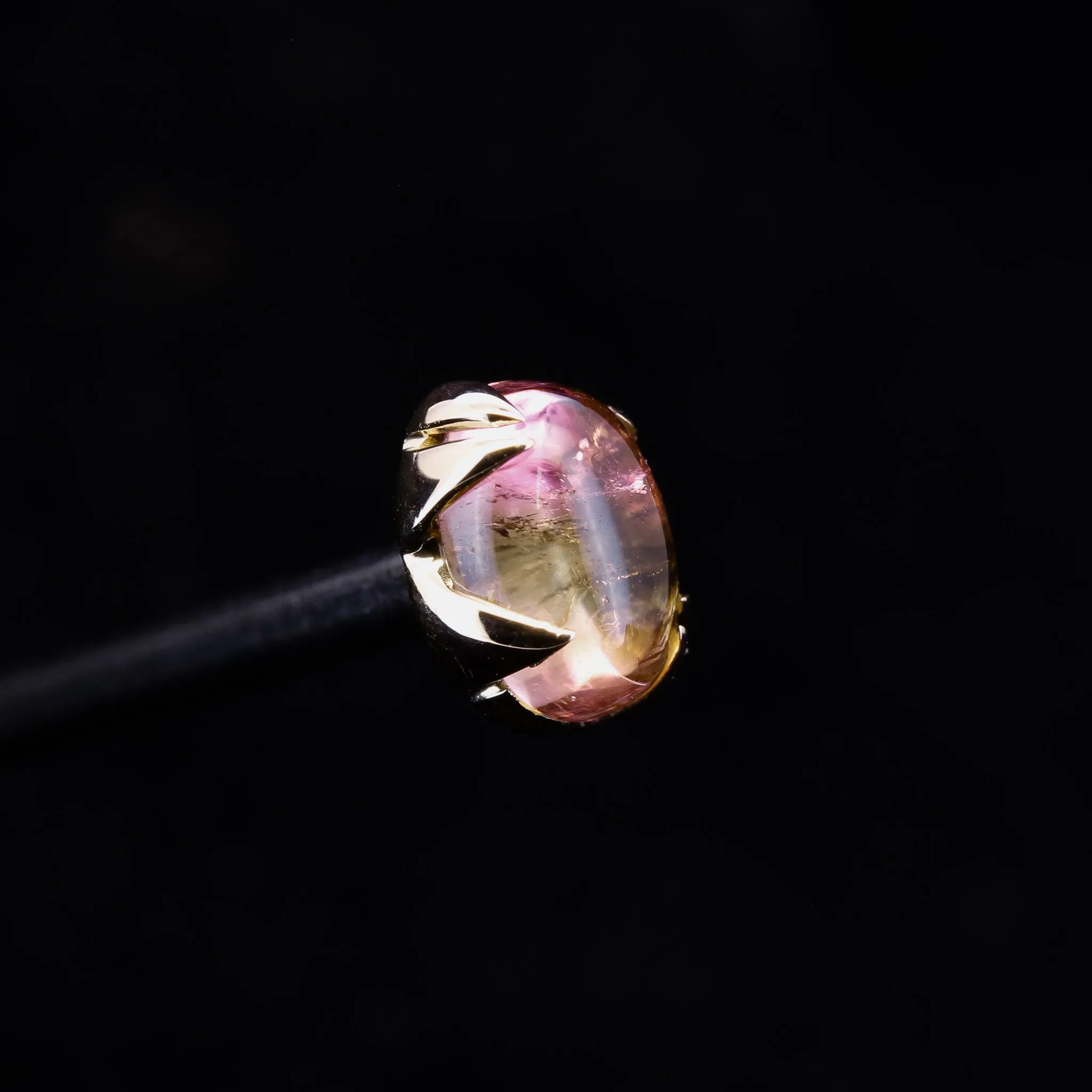 Oval Watermelon Tourmaline in Yellow Gold - 14ga threaded