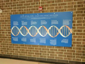 Plastic Wall Signs and Acrylic Wall Signs | North State Signs & Printing