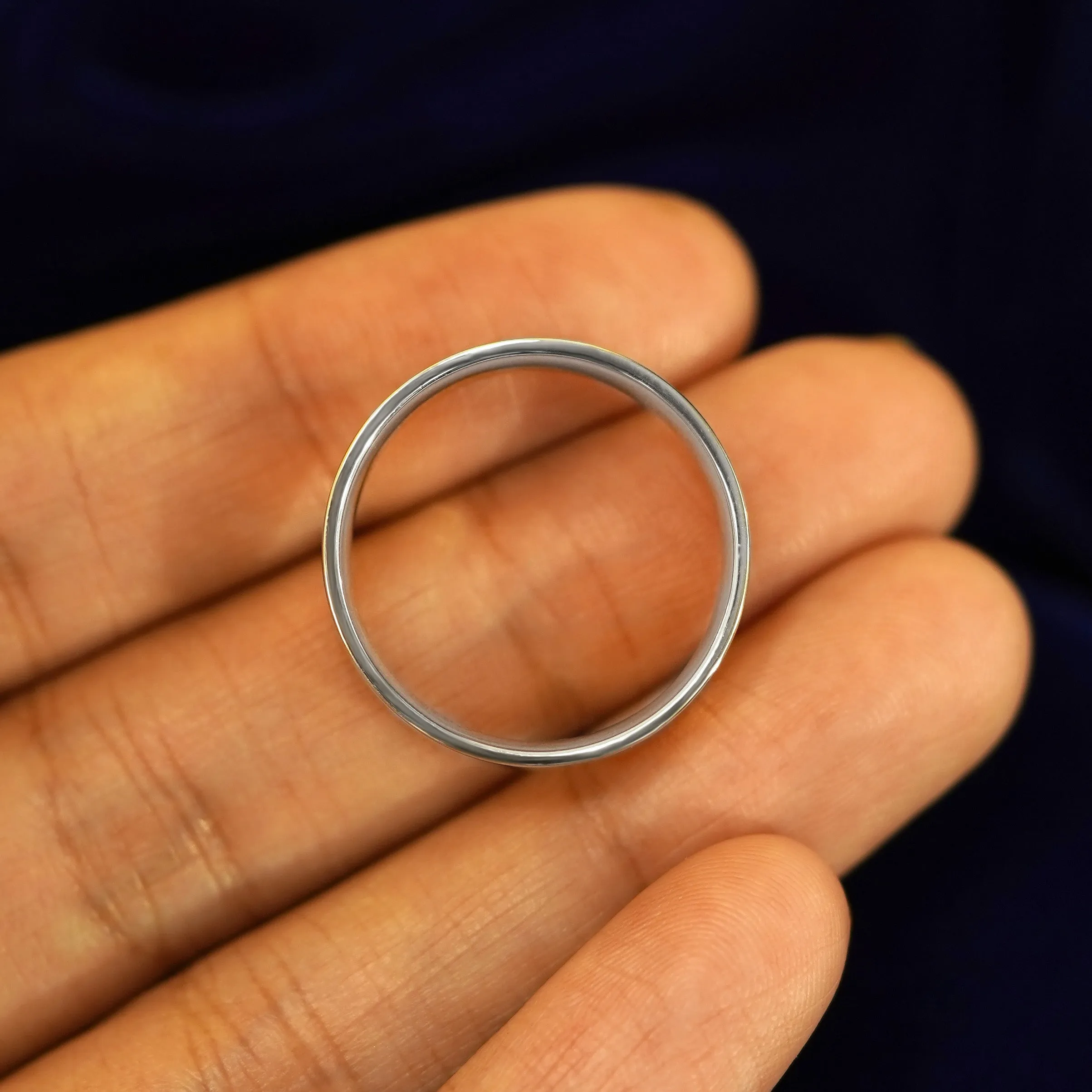 Platinum Industrial Mirror Band