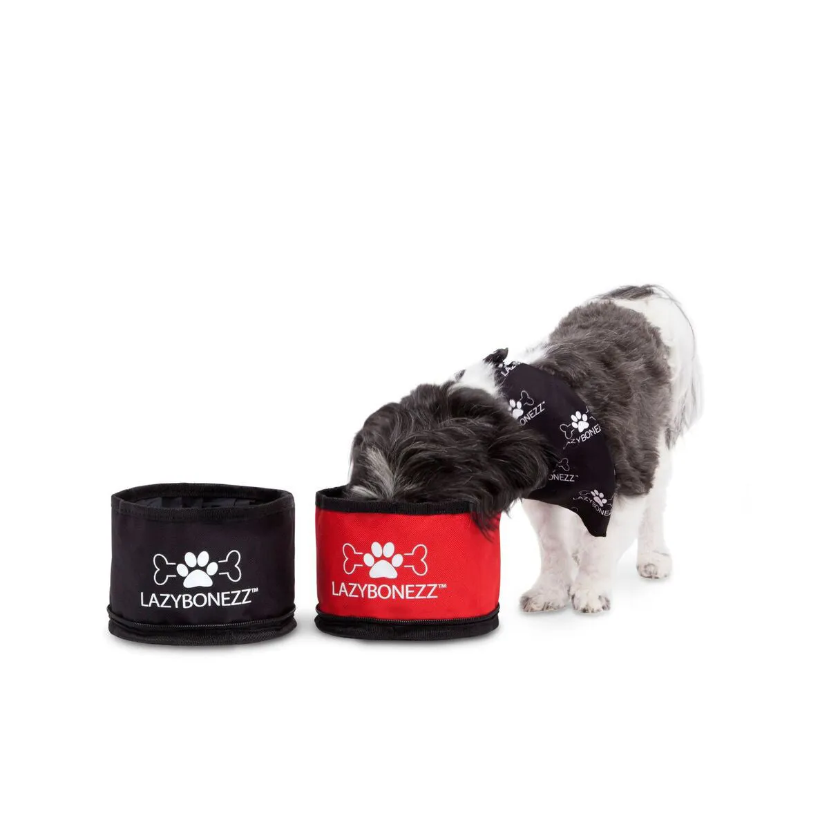Portable Feeder