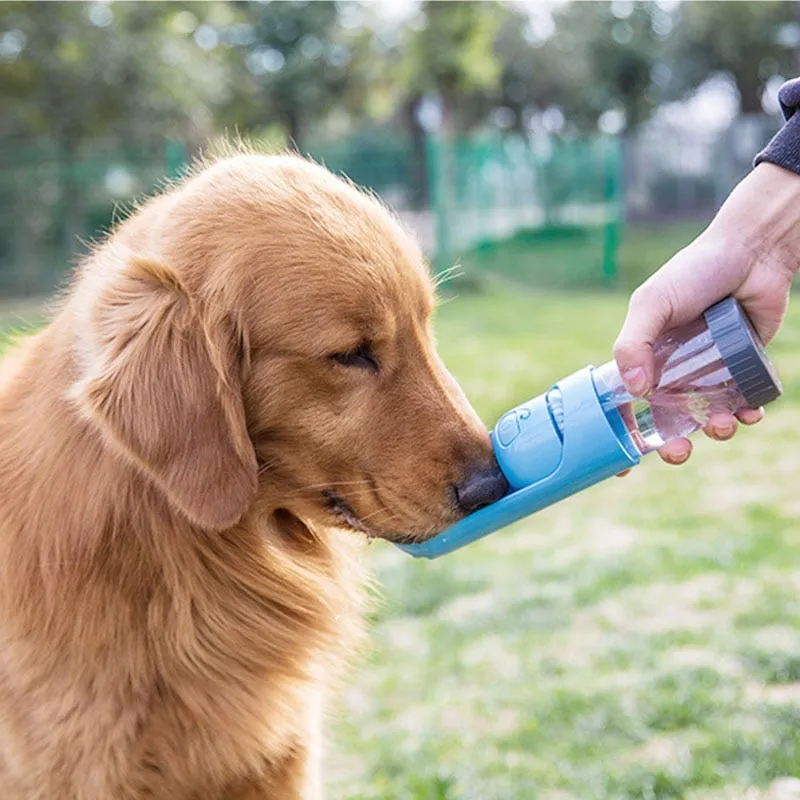 Portable Pet Water Bottle