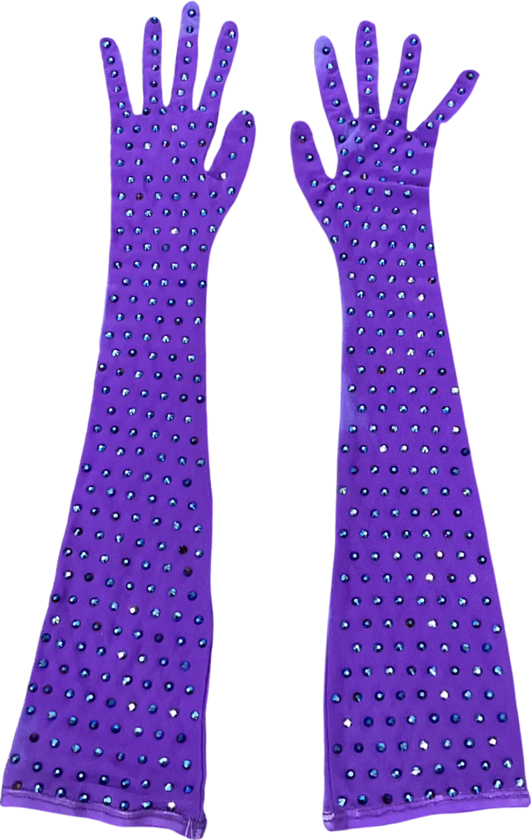 Purple Mesh Embellished Long Glives One Size