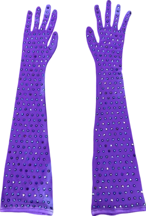 Purple Mesh Embellished Long Glives One Size