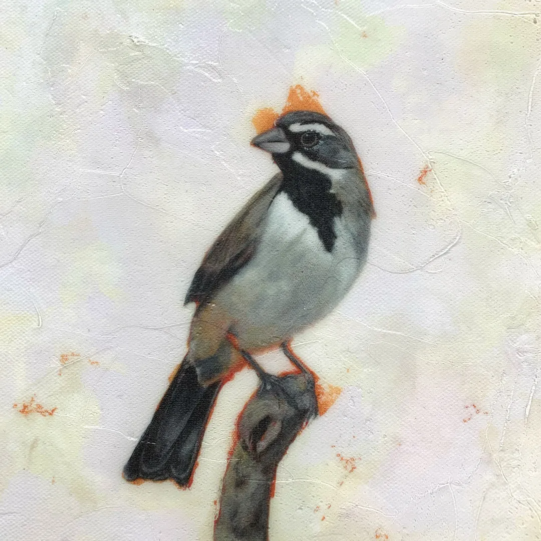"Pathfinder" Bird Embellished Canvas Print
