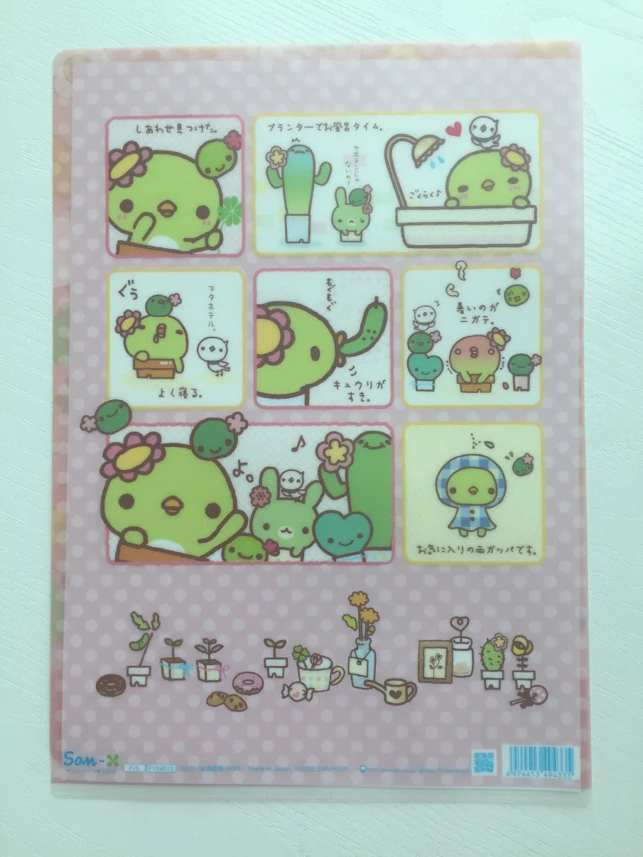 San-x Sabo Kappa Cactus A4 plastic file folder