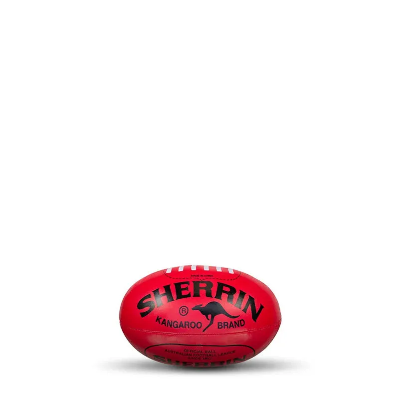 SHERRIN OVER THE DOOR SYSTEM WITH FOOTBALL