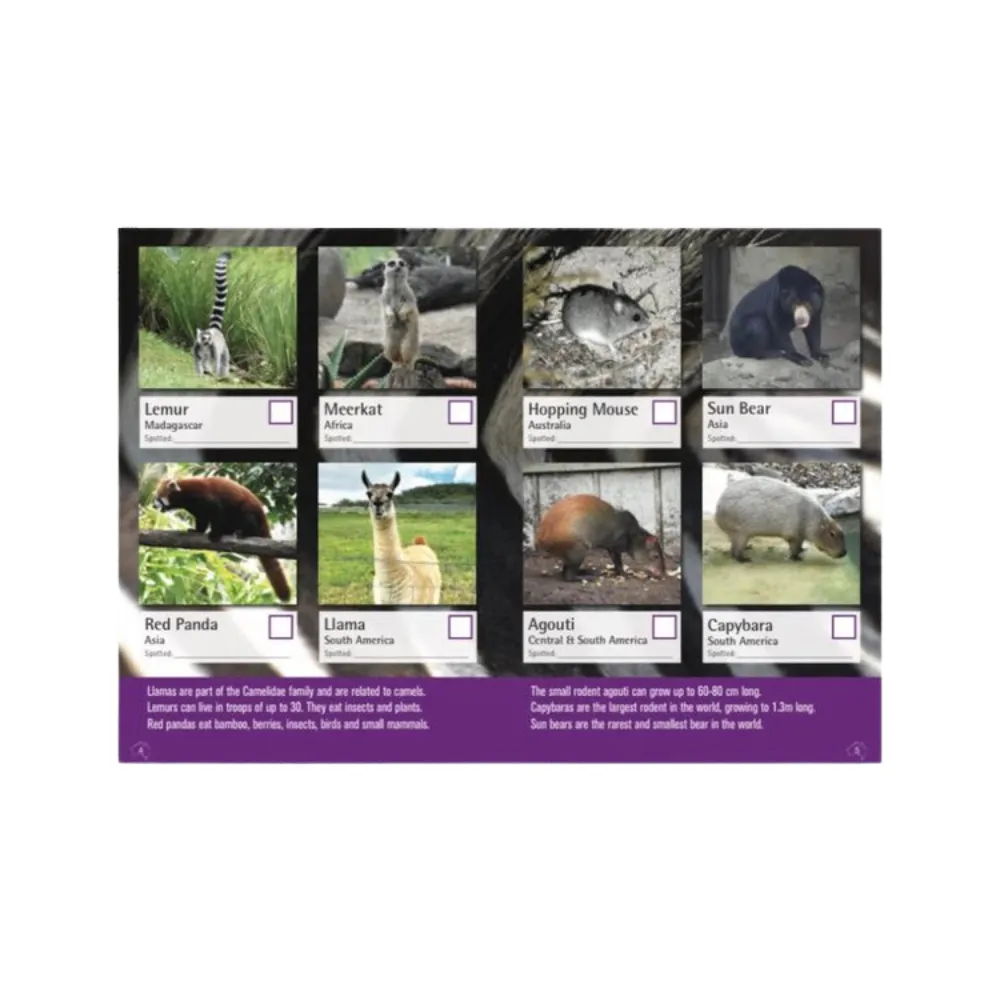 Spotto Zoo