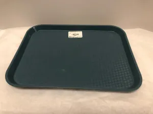 Stormcloud Green Plastic Surgical 12" Tray | KMCE-169