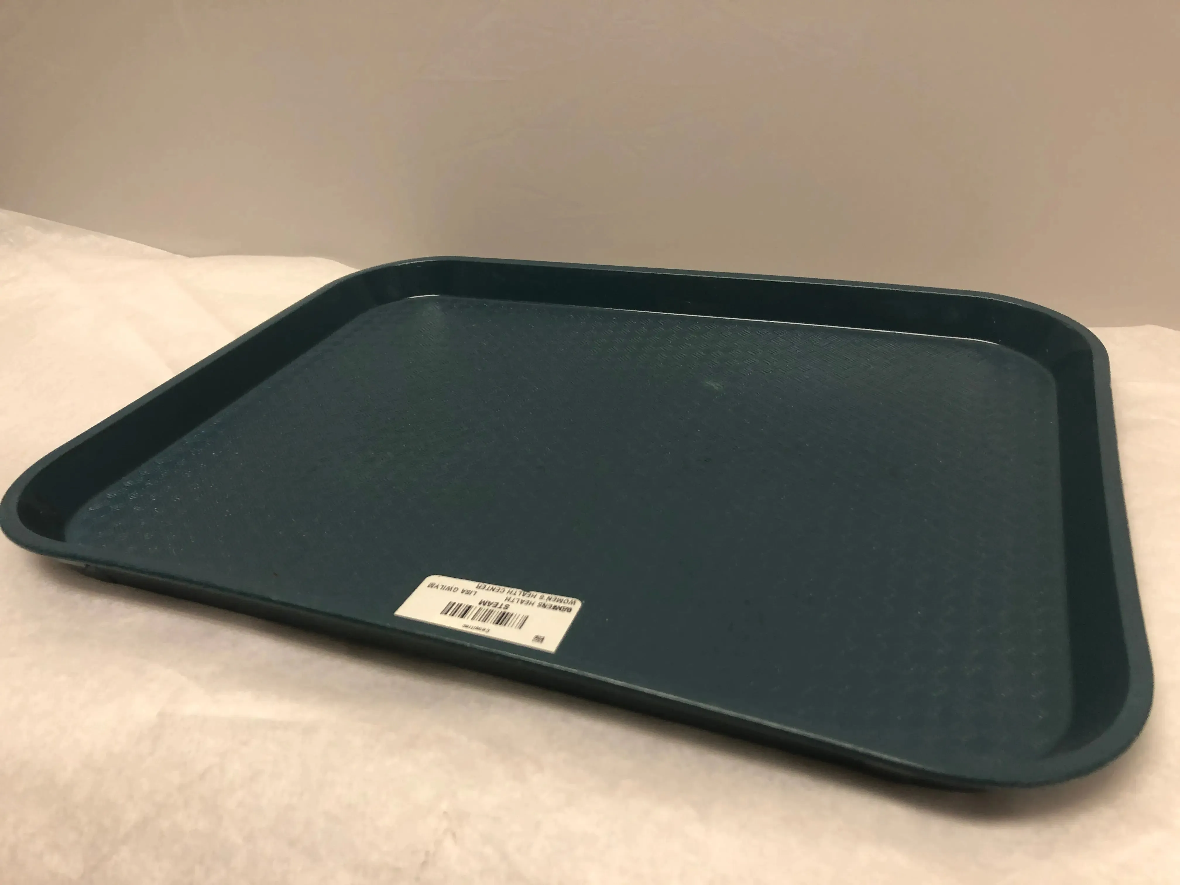 Stormcloud Green Plastic Surgical 12" Tray | KMCE-169