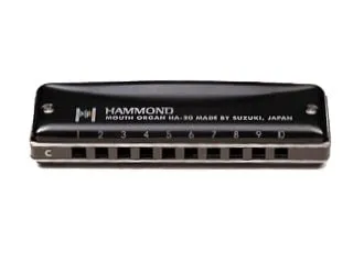 Suzuki HA-20 'Hammond' Diatonic Harmonica