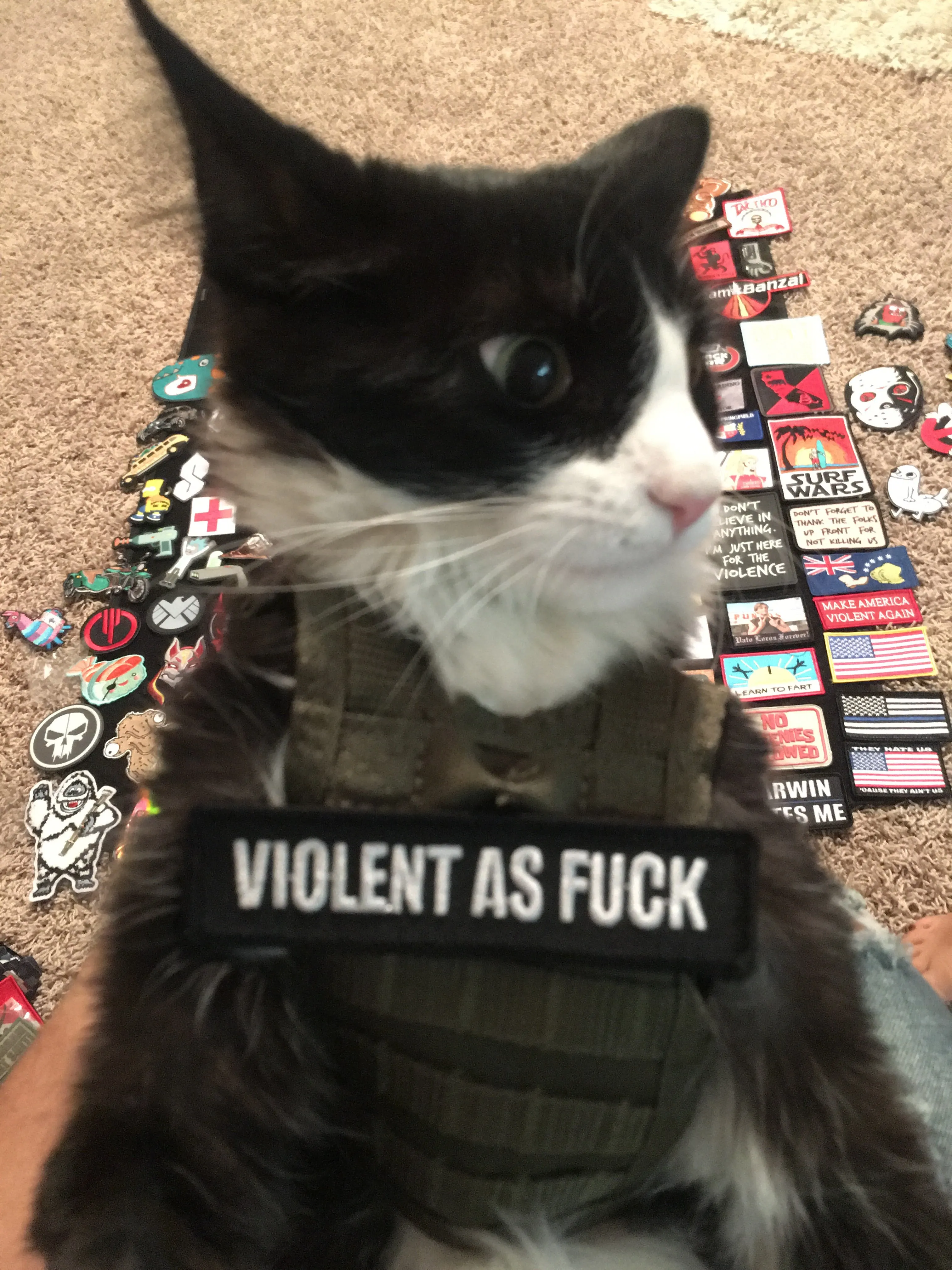Tactical Mini Plate Carrier Drink Holder
