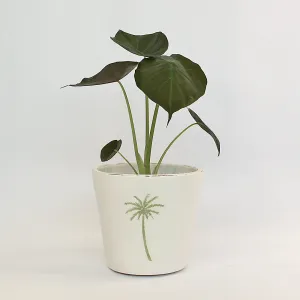 Urban Oasis Isla Pot Thyme 240mm