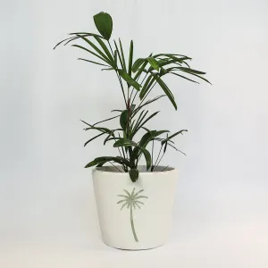 Urban Oasis Isla Pot Thyme 300mm