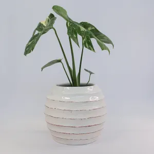 URBAN OASIS KORBO POT WHITE SMALL
