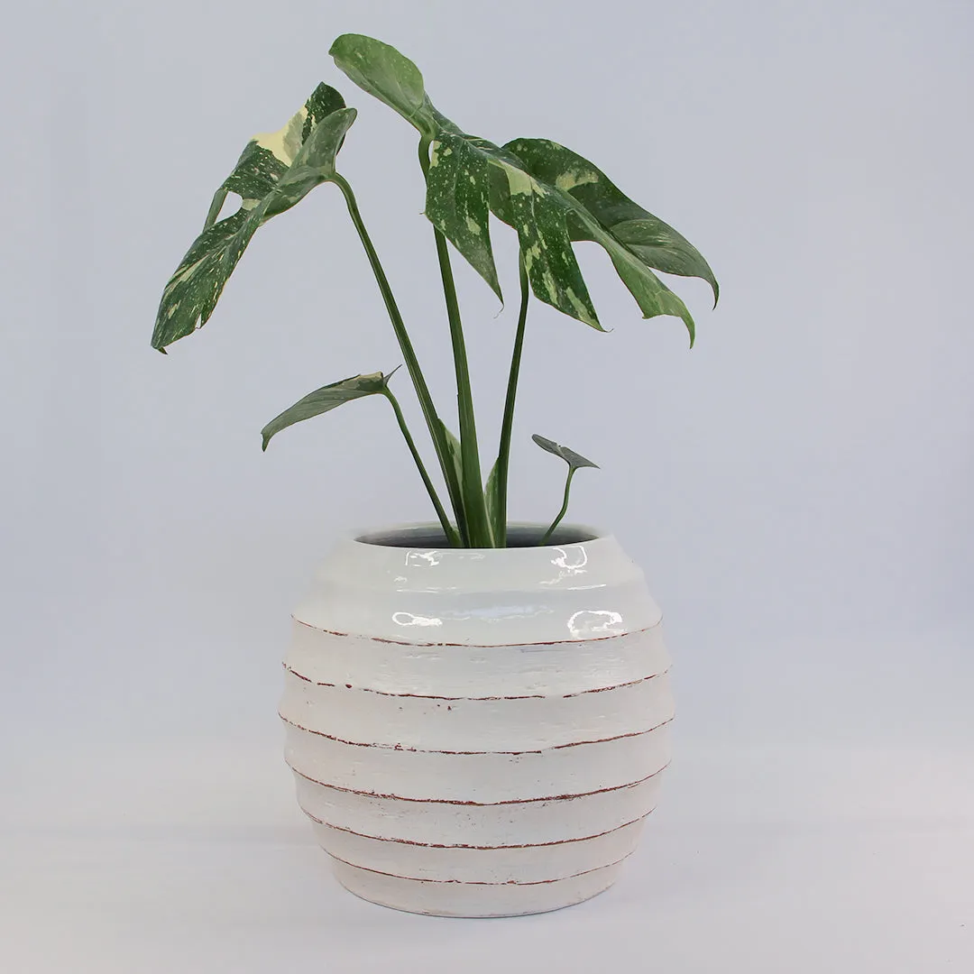 URBAN OASIS KORBO POT WHITE SMALL