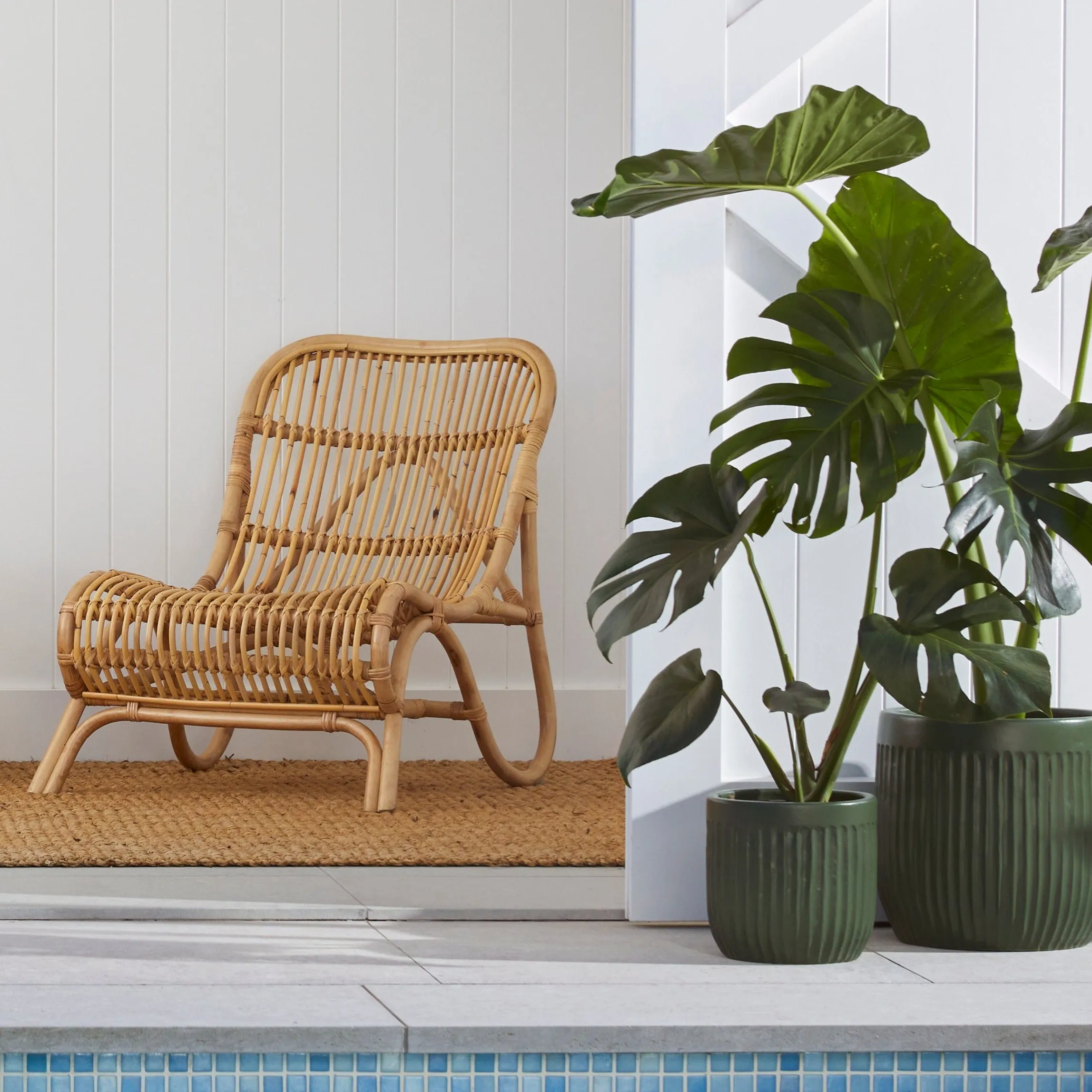 Urban Oasis Linea Pot Thyme 250mm